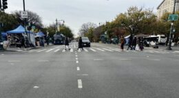 Photograph of Eastern Parkway, via LPC proposal